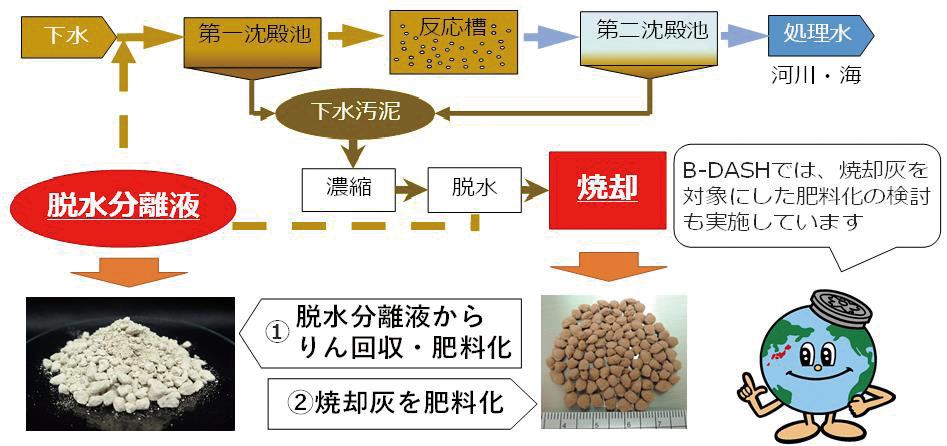 画像：B-DASHの取組