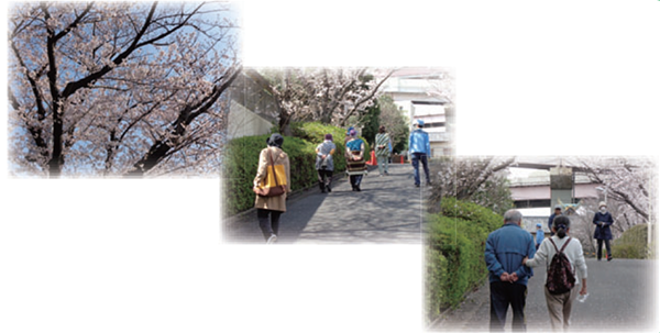 写真：小菅水再生センター　桜を楽しもうin小菅