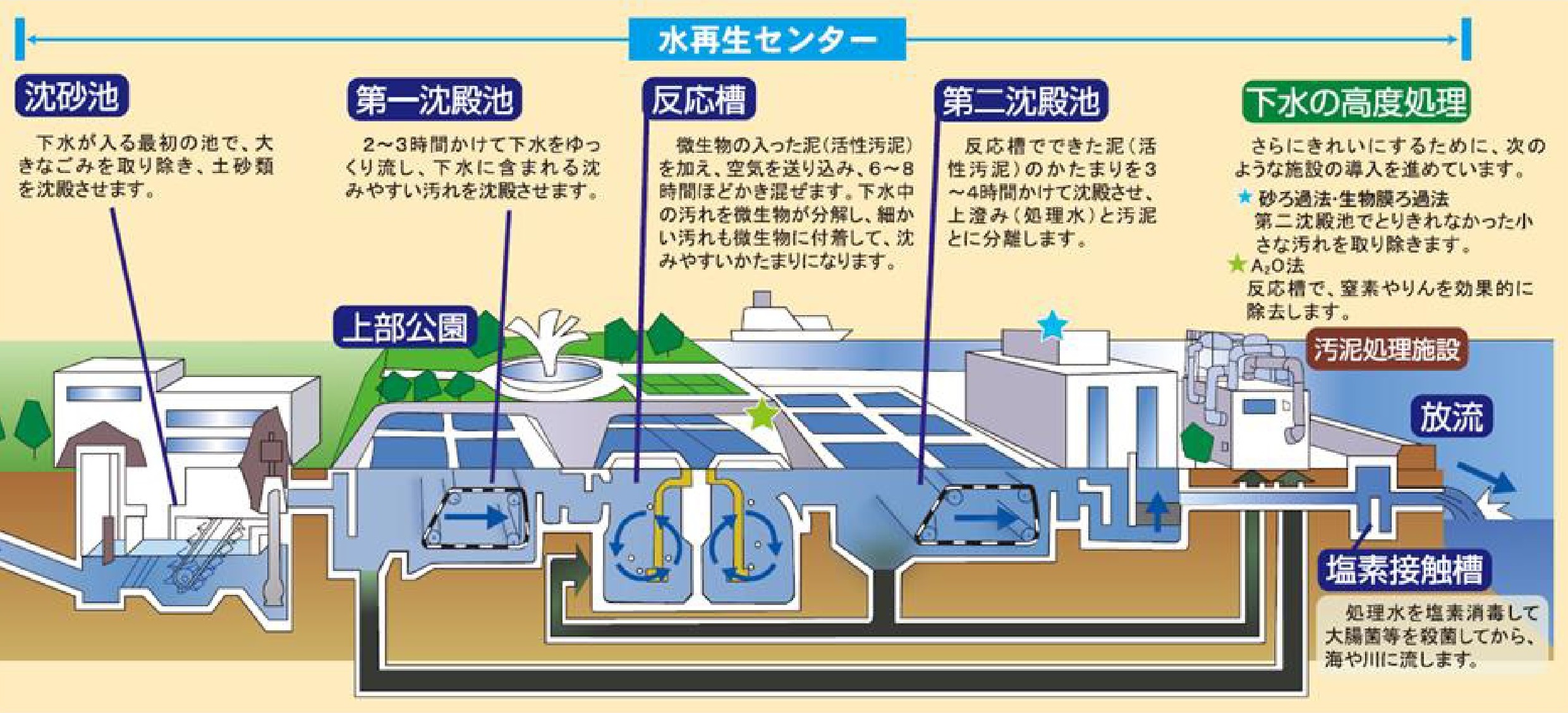 水再生センターの水処理のしくみ