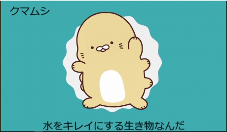 クマムシです
