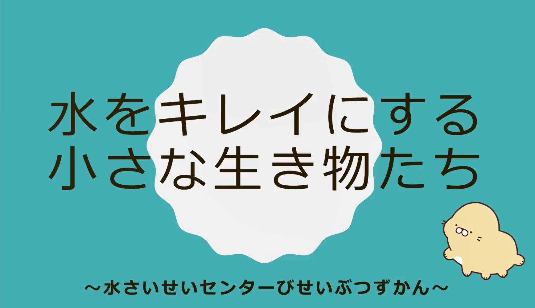 動画のタイトル画面です