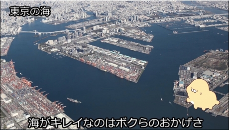 東京の海です