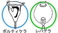 ボルティケラ レパデラ