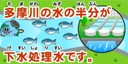 画像：多摩川の水の半分が下水処理水です。
