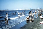 お台場にある海