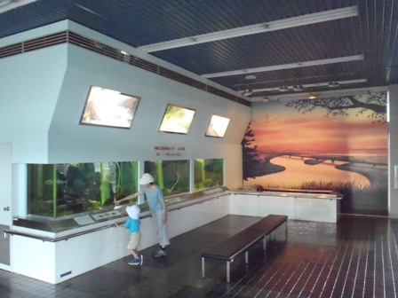 多摩川ふれあい水族館写真