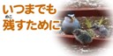 画像：いつまでも残すために