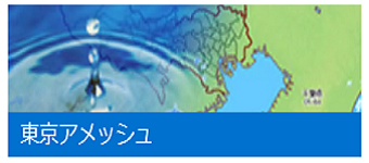 東京アメッシュ