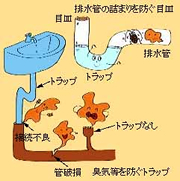 トラップ