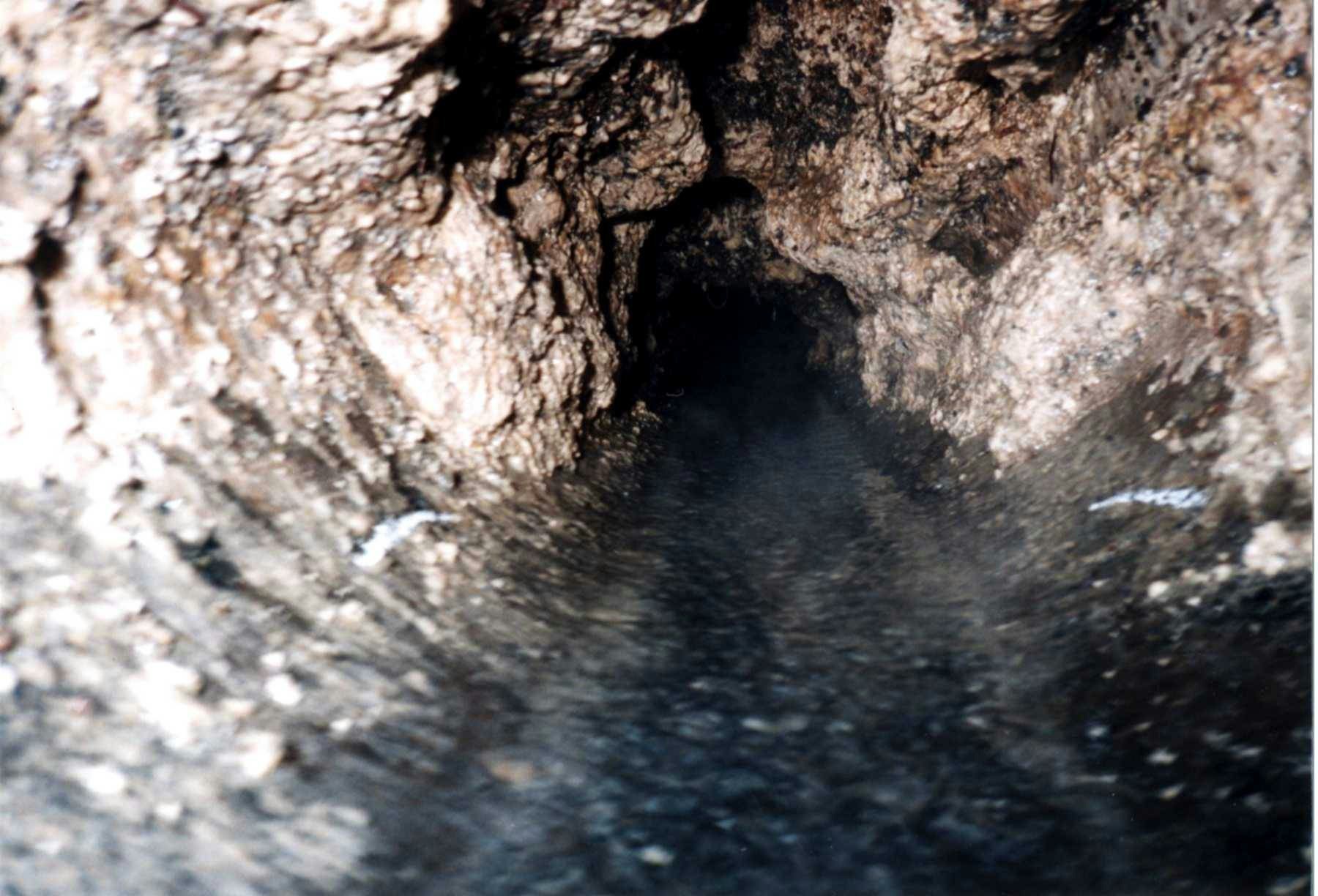 写真：油脂が付着した下水道管内の様子