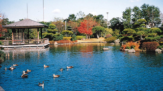 小菅東スポーツ公園の風景写真