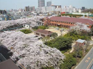 桜と旧三河島汚水処分場ポンプ場施設の写真